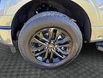 2025 Ford F-150 SuperCrew Cab 4x4 Pickup for sale #SFB68033 - photo 14