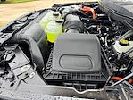 2025 Ford F-150 SuperCrew Cab 4x4 Pickup for sale #SFB73256 - photo 32