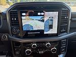 New 2025 Ford F-150 XLT SuperCrew Cab 4WD Pickup for sale #SFC09173 - photo 33