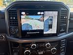 New 2025 Ford F-150 XLT SuperCrew Cab 4WD Pickup for sale #SFC09173 - photo 37