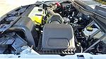 2025 Ford F-150 SuperCrew Cab 4x4 Pickup for sale #SKD03303 - photo 32