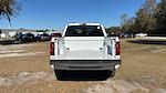 2025 Ford F-150 SuperCrew Cab 4x4 Pickup for sale #SKD03303 - photo 6