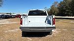 2025 Ford F-150 SuperCrew Cab 4x4 Pickup for sale #SKD04173 - photo 6