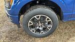 2025 Ford F-150 SuperCrew Cab 4x4 Pickup for sale #SKD04434 - photo 29