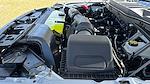 New 2025 Ford F-150 XL Regular Cab 4WD Pickup for sale #SKD19671 - photo 35