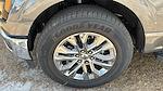 2025 Ford F-150 SuperCrew Cab 4x2 Pickup for sale #SKD19963 - photo 30