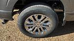 2025 Ford F-150 SuperCrew Cab 4x2 Pickup for sale #SKD19963 - photo 6