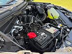 New 2025 Ford F-150 STX SuperCrew Cab Pickup for sale #SKD30973P - photo 33