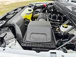 New 2025 Ford F-150 XL SuperCrew Cab 4x4 Pickup for sale #SKD46659 - photo 28