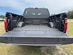 2025 Ford F-150 SuperCrew Cab 4x4 Pickup for sale #SKD60478 - photo 25