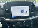 New 2025 Ford F-150 XL SuperCrew Cab 4WD Pickup for sale #SKD60478 - photo 29