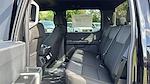2025 Ford F-150 SuperCrew Cab 4x4 Pickup for sale #SKD91986 - photo 15