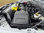 2025 Ford F-150 Regular Cab 4x4 Pickup for sale #SKE04436 - photo 27