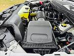 New 2025 Ford F-150 XLT SuperCrew Cab Pickup for sale #SKE07931 - photo 24