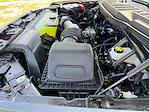 2025 Ford F-150 SuperCrew Cab 4x2 Pickup for sale #SKE08688 - photo 19