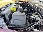 2025 Ford F-150 SuperCrew Cab 4x4 Pickup for sale #SKE11078 - photo 16
