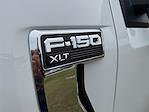 2025 Ford F-150 SuperCrew Cab 4x4 Pickup for sale #SKE22656 - photo 25