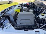 2025 Ford F-150 SuperCrew Cab 4x4 Pickup for sale #SKE24931 - photo 25