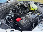 New 2025 Ford F-150 STX SuperCrew Cab 4x4 Pickup for sale #SKE26474 - photo 33