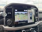 New 2025 Ford F-150 XLT SuperCrew Cab 4WD Pickup for sale #SKE69697 - photo 34