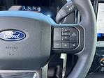 2025 Ford F-150 SuperCrew Cab 4x4 Pickup for sale #SKE90836 - photo 20