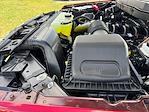 2025 Ford F-150 SuperCrew Cab 4x4 Pickup for sale #SKE90990 - photo 33