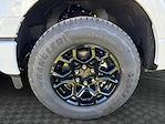 New 2025 Ford F-150 XLT SuperCrew Cab 4WD Pickup for sale #SKE91465 - photo 17