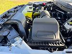 New 2025 Ford F-150 XLT SuperCrew Cab 4WD Pickup for sale #SKE91465 - photo 39