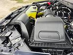 New 2025 Ford F-150 XLT SuperCrew Cab 4WD Pickup for sale #SKE99578 - photo 40