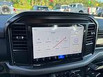 2025 Ford F-150 SuperCrew Cab 4x4 Pickup for sale #SKF03593 - photo 28