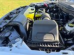 2025 Ford F-150 SuperCrew Cab 4x4 Pickup for sale #SKF03593 - photo 32