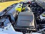 New 2025 Ford F-150 XL SuperCrew Cab 4WD Pickup for sale #SKF03677 - photo 39