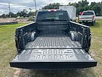 New 2025 Ford F-150 XL Regular Cab 4WD Pickup for sale #SKF17203 - photo 22