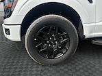 New 2025 Ford F-150 STX SuperCrew Cab 4WD Pickup for sale #SKF19384 - photo 17