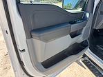 New 2025 Ford F-150 XLT SuperCrew Cab 4WD Pickup for sale #SKF39822 - photo 27