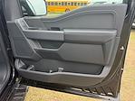 New 2025 Ford F-150 XLT SuperCrew Cab 4WD Pickup for sale #SKF43007 - photo 19