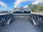 New 2025 Ford F-150 XLT SuperCrew Cab 4WD Pickup for sale #SKF44913 - photo 24