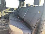 New 2025 Ford F-150 XLT SuperCrew Cab 4WD Pickup for sale #SKF45387 - photo 16