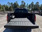 2025 Ford F-150 SuperCrew Cab 4WD Pickup for sale #SKF45635 - photo 26