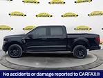 New 2025 Ford F-150 STX SuperCrew Cab Pickup for sale #SKF53646 - photo 3