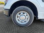 New 2025 Ford F-150 XL SuperCrew Cab for sale #SKF73371 - photo 17