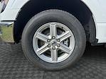 2025 Ford F-150 SuperCrew Cab RWD Pickup for sale #SKF85999 - photo 17