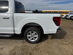 2025 Ford F-150 SuperCrew Cab RWD Pickup for sale #SKF85999 - photo 26