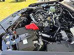 New 2025 Ford Ranger XL SuperCrew Cab Pickup for sale #SLE26916 - photo 32