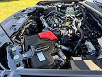 New 2025 Ford Ranger XL SuperCrew Cab Pickup for sale #SLE34899 - photo 38