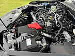 New 2025 Ford Ranger XL SuperCrew Cab 4x4 Pickup for sale #SLE37593 - photo 32