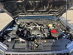 New 2025 Ford Ranger XLT SuperCrew Cab for sale #SLE58400 - photo 23