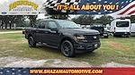 2025 Ford F-150 SuperCrew Cab 4x4 Pickup for sale #SKD13530 - photo 1