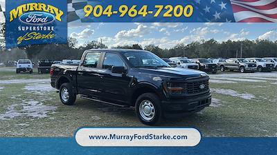 2024 Ford F-150 SuperCrew Cab 4x4 Pickup for sale #RKD70788 - photo 1