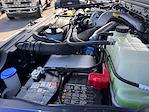New 2026 Ford F-250 XL Crew Cab 4x4 Pickup for sale #TEC19600 - photo 33